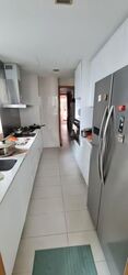 Park Infinia At Wee Nam (D11), Condominium #578233431